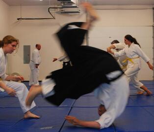 Aikido class for adults